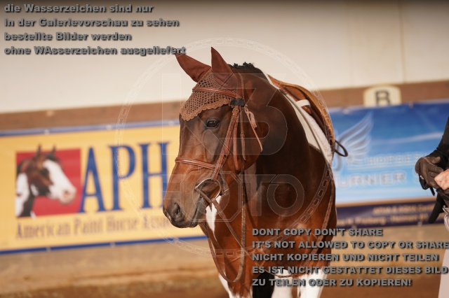 s_A_900682.JPG